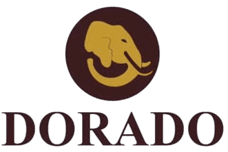 Dorado-Ivory-SA-removebg-preview-e1756428365823